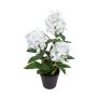 Künstliche Blume Hortensie APINNA im Dekotopf, weiß, 45cm