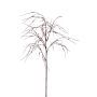Kunst Zweig Federgras AURELY mit Rispen, burgunderrot, 75cm