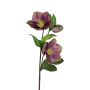 Deko Zweig Christrose SAIDANA, violett, 35cm