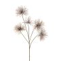 Kunst Zweig Zaubernuss IWELIMA mit Blüten, beige, 100cm