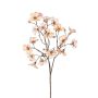 Samt Heliophila Zweig AURVINA, lachs, 60cm