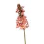 Dekoblume Steppenkerze HINNALE, koralle, 75cm