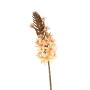 Dekoblume Steppenkerze HINNALE, lachs, 75cm