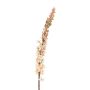 Dekoblume Steppenkerze SINDABE, lachs, 105cm