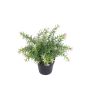Kunstblume Scheinlobelie DAVELIA im Dekotopf, rosa, 20cm