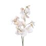 Kunst Zweig Lathyrus latifolius SIREVIA, beige, 70cm