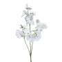 Kunst Zweig Lathyrus latifolius SIREVIA, weiß, 70cm
