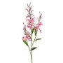 Dekozweig Prachtkerze LAYELLA, rosa, 95cm