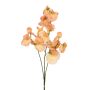 Kunst Zweig Lathyrus latifolius SIREVIA, lachs, 70cm