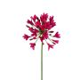 Kunstblume Agapanthus DAMILLAS, pink, 75cm