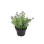 Kunstblume Scheinlobelie DAVELIA im Dekotopf, lila, 15cm