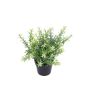 Kunstblume Scheinlobelie DAVELIA im Dekotopf, gelb, 20cm