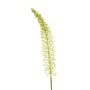 Dekoblume Steppenkerze LIBABE, creme, 105cm