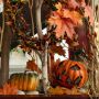 Der Herbst zieht ein