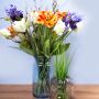 Spring into Beauty