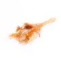 Getrockneter Strauß DILIANE, orange-gelb-natur, 50cm, Ø15cm