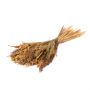 Ährenstrauß Getrocknet FALADA, natur, 65cm, Ø20cm