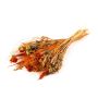 Getrockneter Ährenstrauß COVENTINA, orange-natur, 65cm, Ø23cm