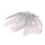 Naturdeko Straußenfedern PIPPIN, 5 Stück, hellgrau, 55-70cm