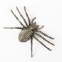 Halloween Dekoration Spinnen-Skelett ARANEA, gold, 25cm