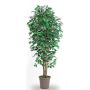 Deko Ficus Benjamini LEONORET, Echtstämme, grün-weiß, 175cm - Made in Italy