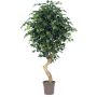 Künstlicher Ficus Benjamina SILENO, Echtstamm, grün, 175cm - Made in Italy