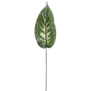 Künstliches Dieffenbachiablatt 25cm, grün