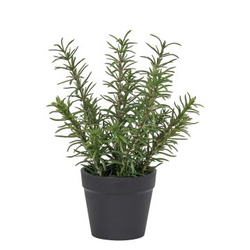 Künstlicher Rosmarin im Topf 20cm, grün Künstlicher Rosmarin im Topf 20cm, grün