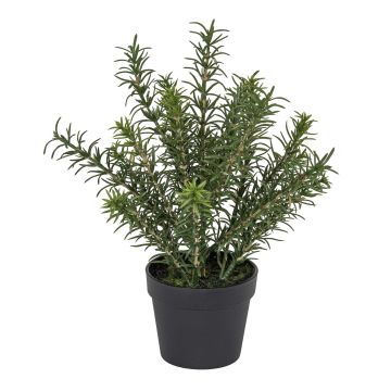 Künstlicher Rosmarin im Topf 30cm, grün Künstlicher Rosmarin im Topf 30cm, grün