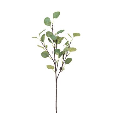 Künstlicher Eukalyptuszweig x 27 67cm, grün Künstlicher Eukalyptuszweig x 27 67cm, grün