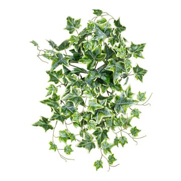 Künstlicher Efeubusch FR 9-fach 50cm, grün-weiß
