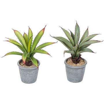 Künstliche Aloe im Topf 20cm, bunt Künstliche Aloe im Topf 20cm, bunt