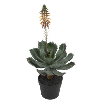 Künstliche Aloe mit Blüte im Topf 61cm Ø 27cm, grün-peach Künstliche Aloe mit Blüte im Topf 61cm Ø 27cm, grün-peach