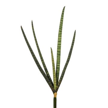 Künstliche Sansevieria Cylindrica x 5 59cm, grün
