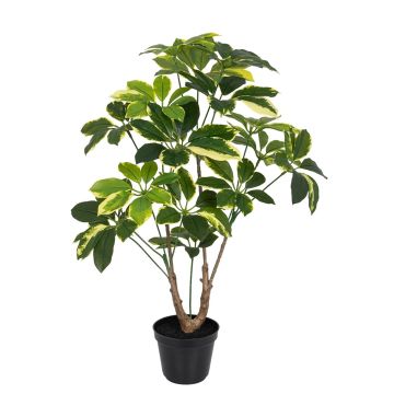 Künstliche Schefflera UV im Topf 63cm, grün-weiß