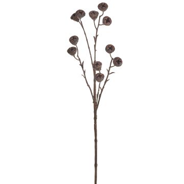 Künstlicher Eukalyptussamenzweig 5-fach 62cm, dunkelbraun Künstlicher Eukalyptussamenzweig 5-fach 62cm, dunkelbraun