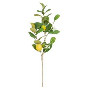 Künstlicher Zitronenzweig x 3 67cm Zitrone 4,5/6cm, gelb Künstlicher Zitronenzweig x 3 67cm Zitrone 4,5/6cm, gelb