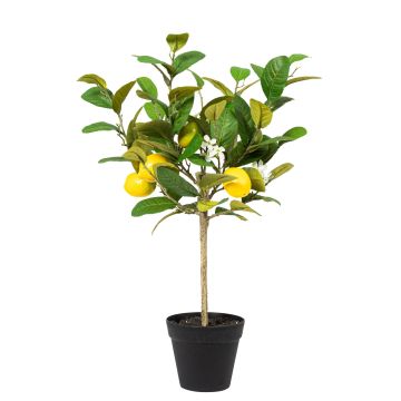 Künstliches Zitronenhochstammbäumchen x 5 im Topf 56cm Zitrone 4,5/6cm, gelb Künstliches Zitronenhochstammbäumchen x 5 im Topf 56cm Zitrone 4,5/6cm, gelb