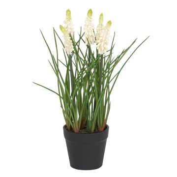 Künstliche Traubenhyazinthe x 5 im Topf 27cmØ unten 5.5cm, weiß Künstliche Traubenhyazinthe x 5 im Topf 27cmØ unten 5.5cm, weiß
