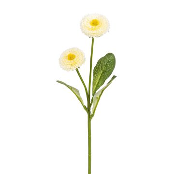 Künstliche Bellis x 2 28cm Blütenkopf Ø 3,5/4cm, elfenbein