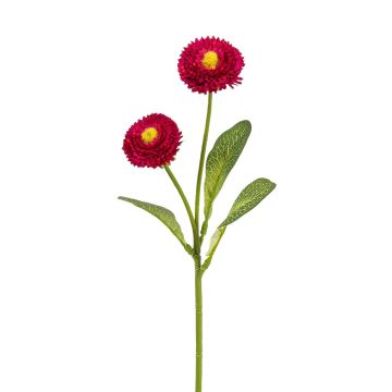 Künstliche Bellis x 2 28cm Blütenkopf Ø 3,5/4cm, cerise