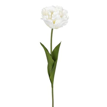 Künstliche Papageientulpe 66cm Blütenkopf Ø 10cm, elfenbein Künstliche Papageientulpe 66cm Blütenkopf Ø 10cm, elfenbein