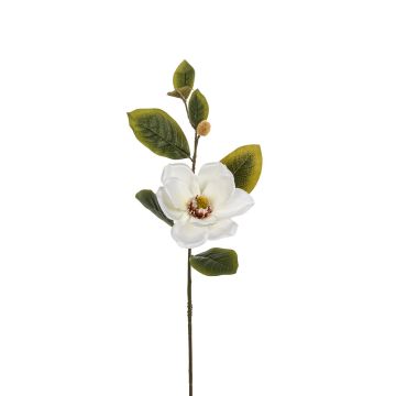 Künstlicher Magnolienzweig x 2 63cm Blütenkopf Ø 12cm, elfenbein Künstlicher Magnolienzweig x 2 63cm Blütenkopf Ø 12cm, elfenbein