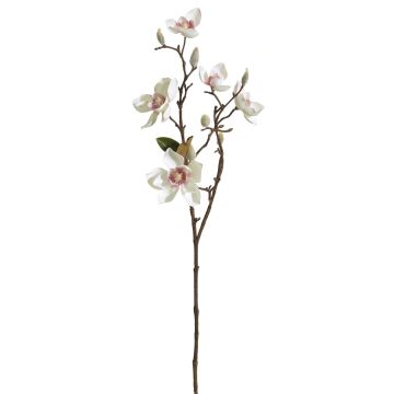 Künstlicher Magnolienzweig x 5 65cm Blütenkopf Ø 6/9cm, elfenbein-rosé Künstlicher Magnolienzweig x 5 65cm Blütenkopf Ø 6/9cm, elfenbein-rosé