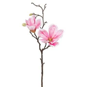Künstlicher Magnolienzweig x 2 48cm Blütenkopf Ø 8/13cm, rosé-gemischt Künstlicher Magnolienzweig x 2 48cm Blütenkopf Ø 8/13cm, rosé-gemischt