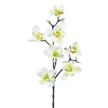 Künstlicher Magnolienzweig x 7 99cm Blütenkopf Ø 10/13cm, elfenbein Künstlicher Magnolienzweig x 7 99cm Blütenkopf Ø 10/13cm, elfenbein