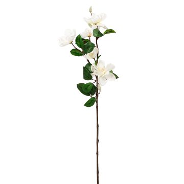 Künstlicher Magnolienzweig x 5 70cm Blütenkopf Ø 6/9cm, elfenbein Künstlicher Magnolienzweig x 5 70cm Blütenkopf Ø 6/9cm, elfenbein