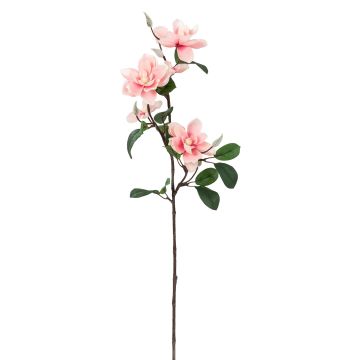 Künstlicher Magnolienzweig x 5 70cm Blütenkopf Ø 6/9cm, rosé