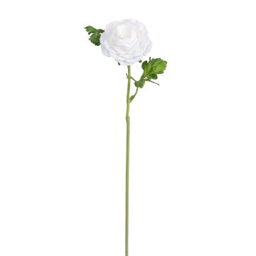 Künstliche Ranunkel 56cm Blütenkopf Ø 7cm, elfenbein
