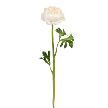 Künstliche Ranunkel 46cm Blütenkopf Ø 8cm, elfenbein